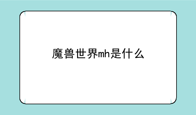 魔兽世界mh是什么