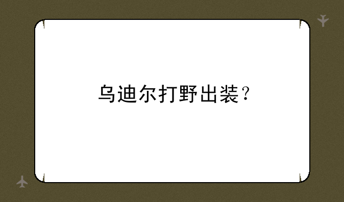 乌迪尔打野出装？