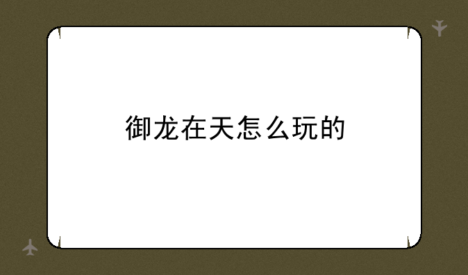 御龙在天怎么玩的