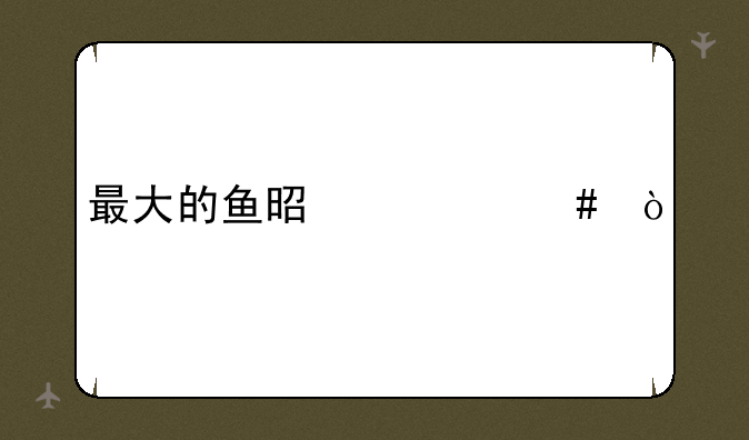 最大的鱼是什么？