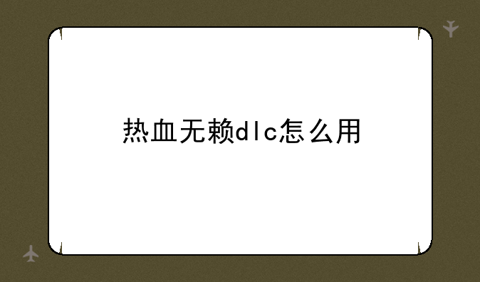 热血无赖dlc怎么用