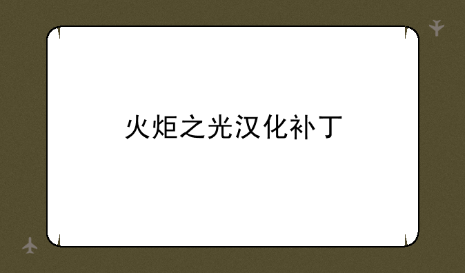 火炬之光汉化补丁