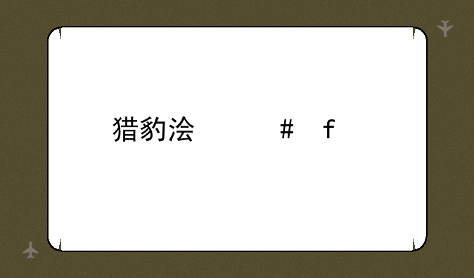猎豹浏览器手机版