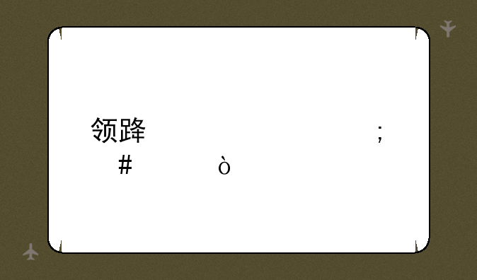 领路者app怎么样？