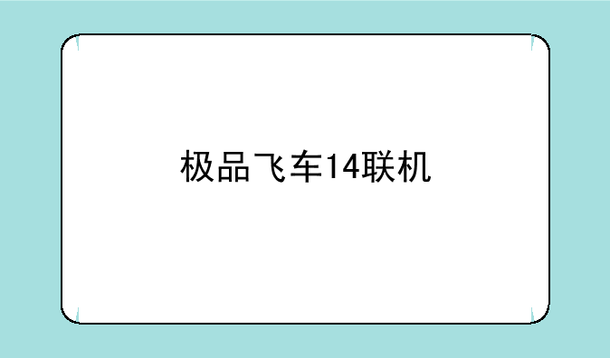 极品飞车14联机