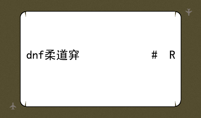 dnf柔道穿什么甲