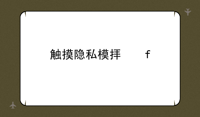 触摸隐私模拟器