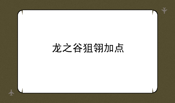 龙之谷狙翎加点
