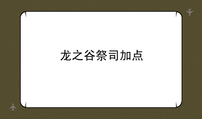 龙之谷祭司加点
