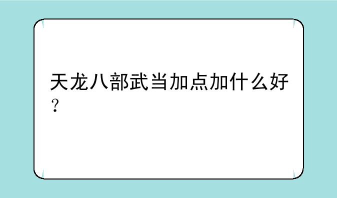 天龙八部武当加点加什么好？