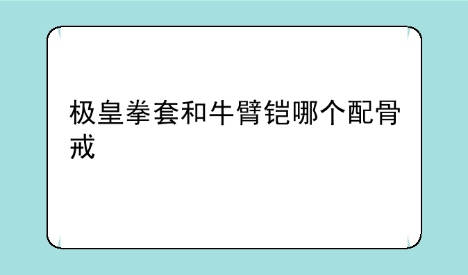 极皇拳套和牛臂铠哪个配骨戒