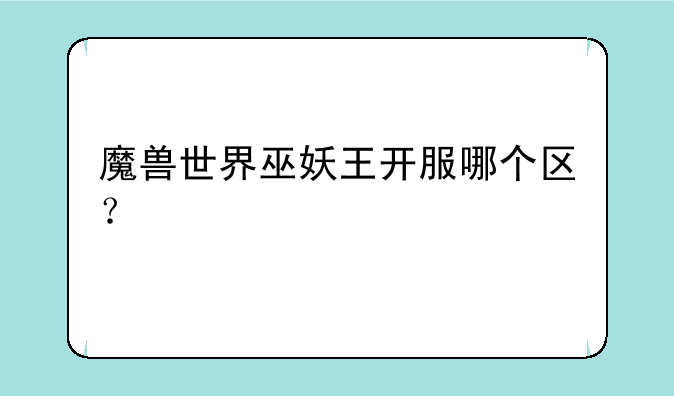 魔兽世界巫妖王开服哪个区？