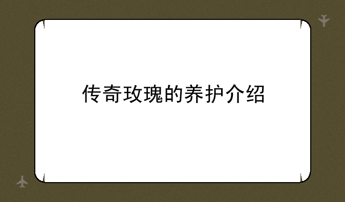 传奇玫瑰的养护介绍