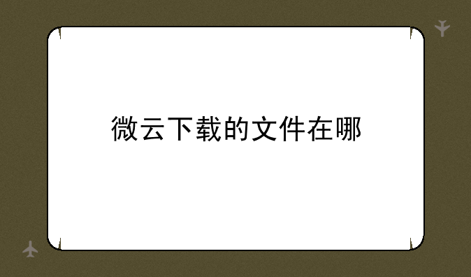 微云下载的文件在哪