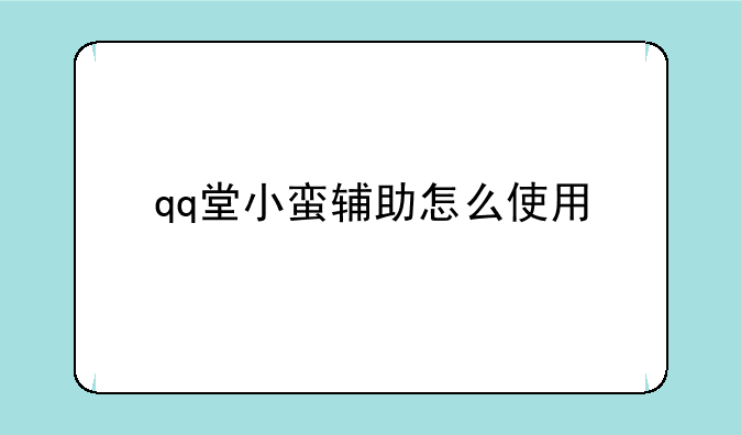 qq堂小蛮辅助怎么使用