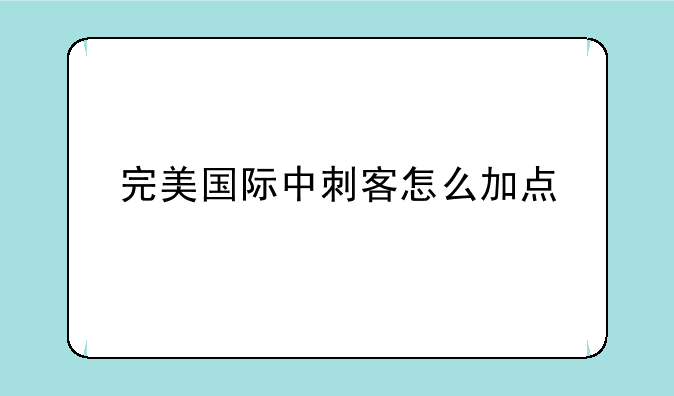 完美国际中刺客怎么加点