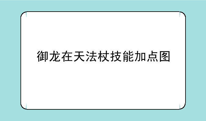 御龙在天法杖技能加点图