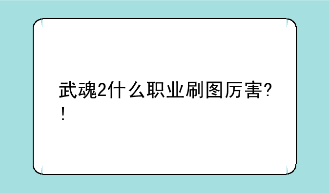 武魂2什么职业刷图厉害?!