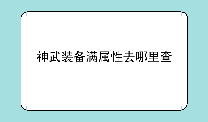 神武装备满属性去哪里查