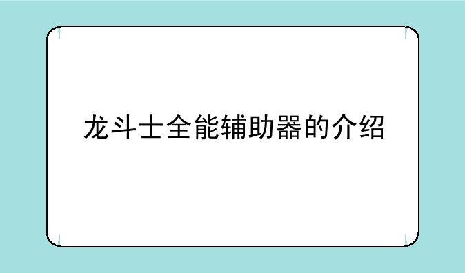 龙斗士全能辅助器的介绍
