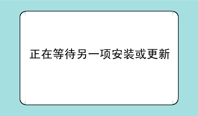 正在等待另一项安装或更新