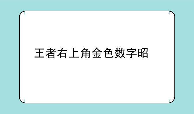 王者右上角金色数字是什么