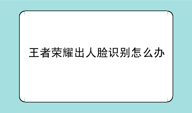 王者荣耀出人脸识别怎么办