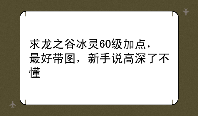 求龙之谷冰灵60级加点，最好带图，新手说高深了不懂