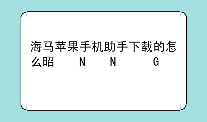 海马苹果手机助手下载的怎么是哥哥网版本时空猎人？