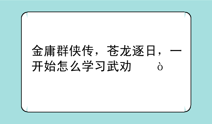 金庸群侠传，苍龙逐日，一开始怎么学习武功？