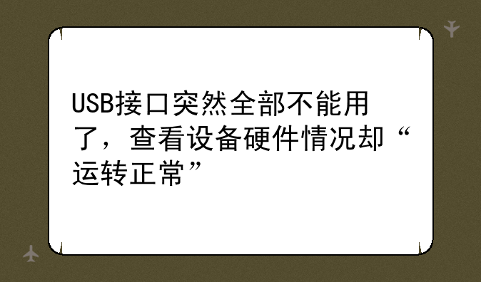 USB接口突然全部不能用了，查看设备硬件情况却“运转正常”