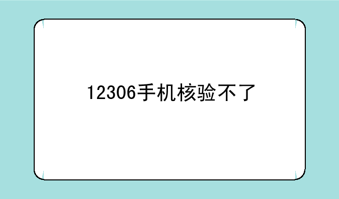 12306手机核验不了