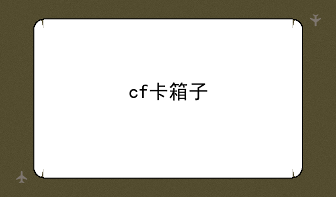 cf卡箱子