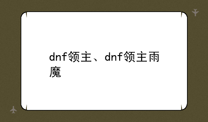 dnf领主、dnf领主雨魔