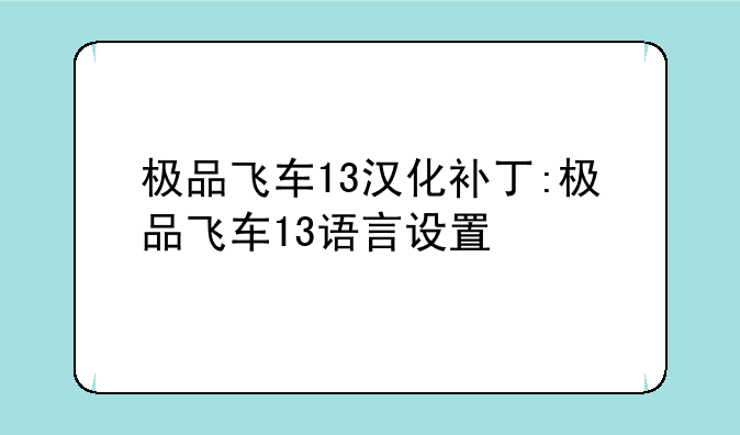 极品飞车13汉化补丁:极品飞车13语言设置