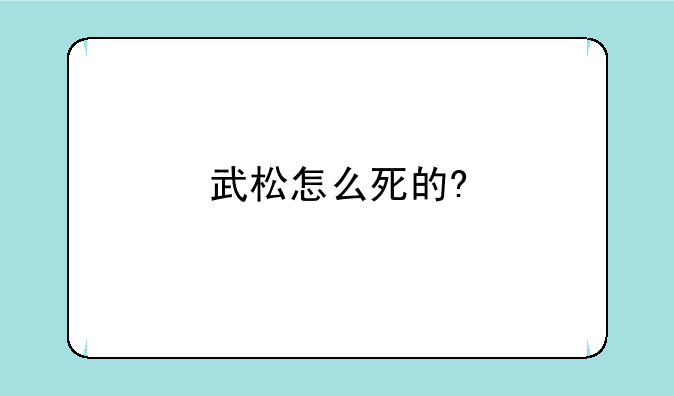 武松怎么死的?