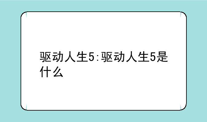 驱动人生5:驱动人生5是什么