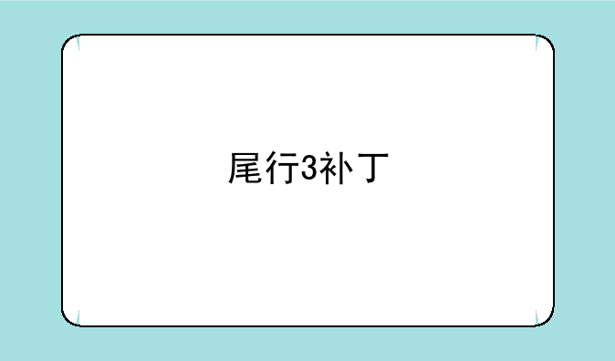 尾行3补丁