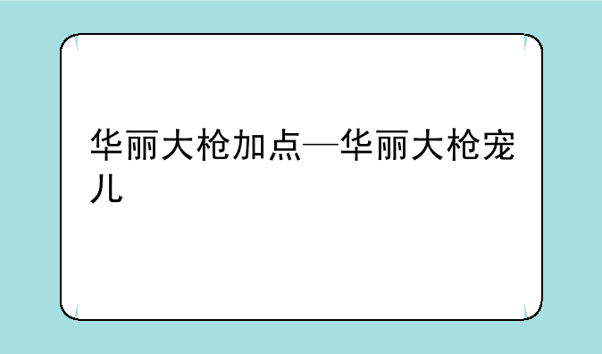 华丽大枪加点—华丽大枪宠儿